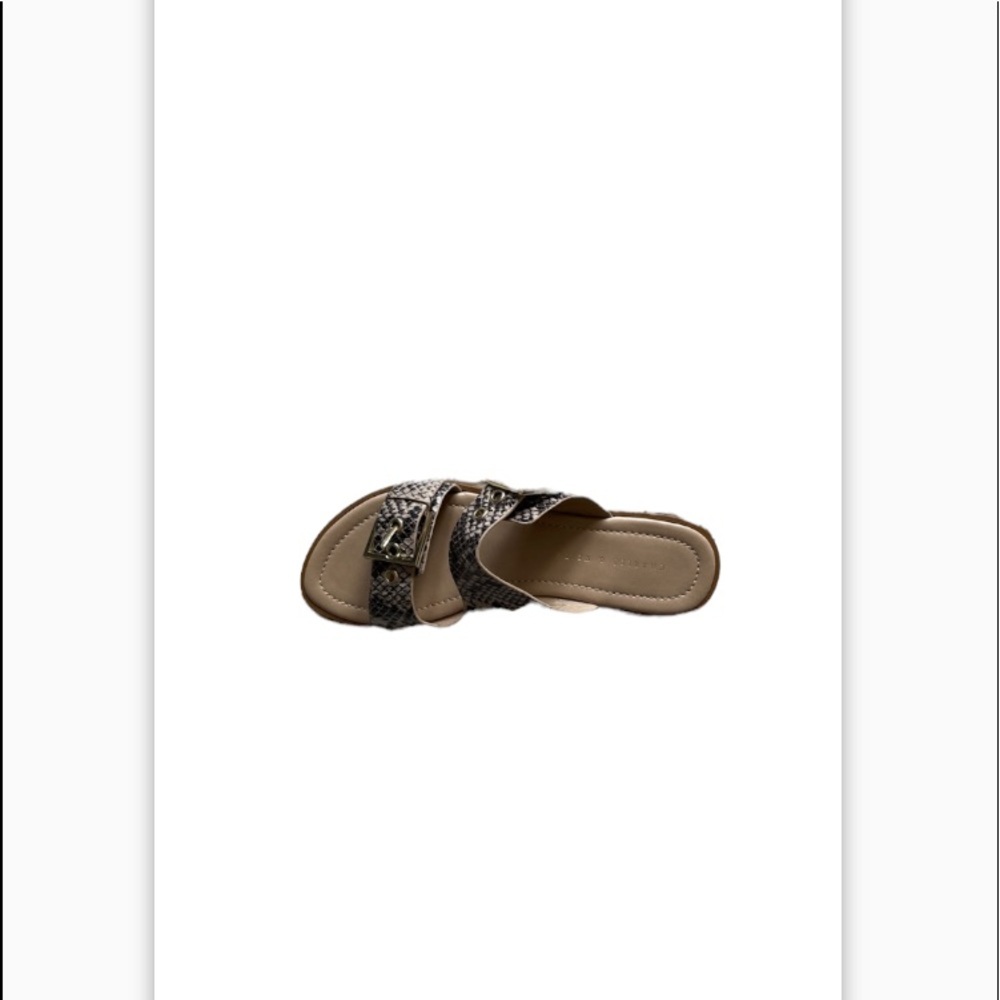 NIB Charles & Keith Snakeskin Buckle Slides Size 5.5 - Picture 3 of 8